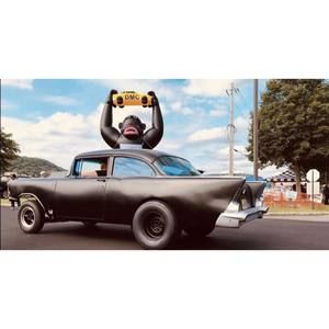 Meet your Posher, Taylor